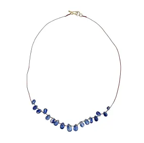 Lena Skadegard Kyanite Petal Necklace